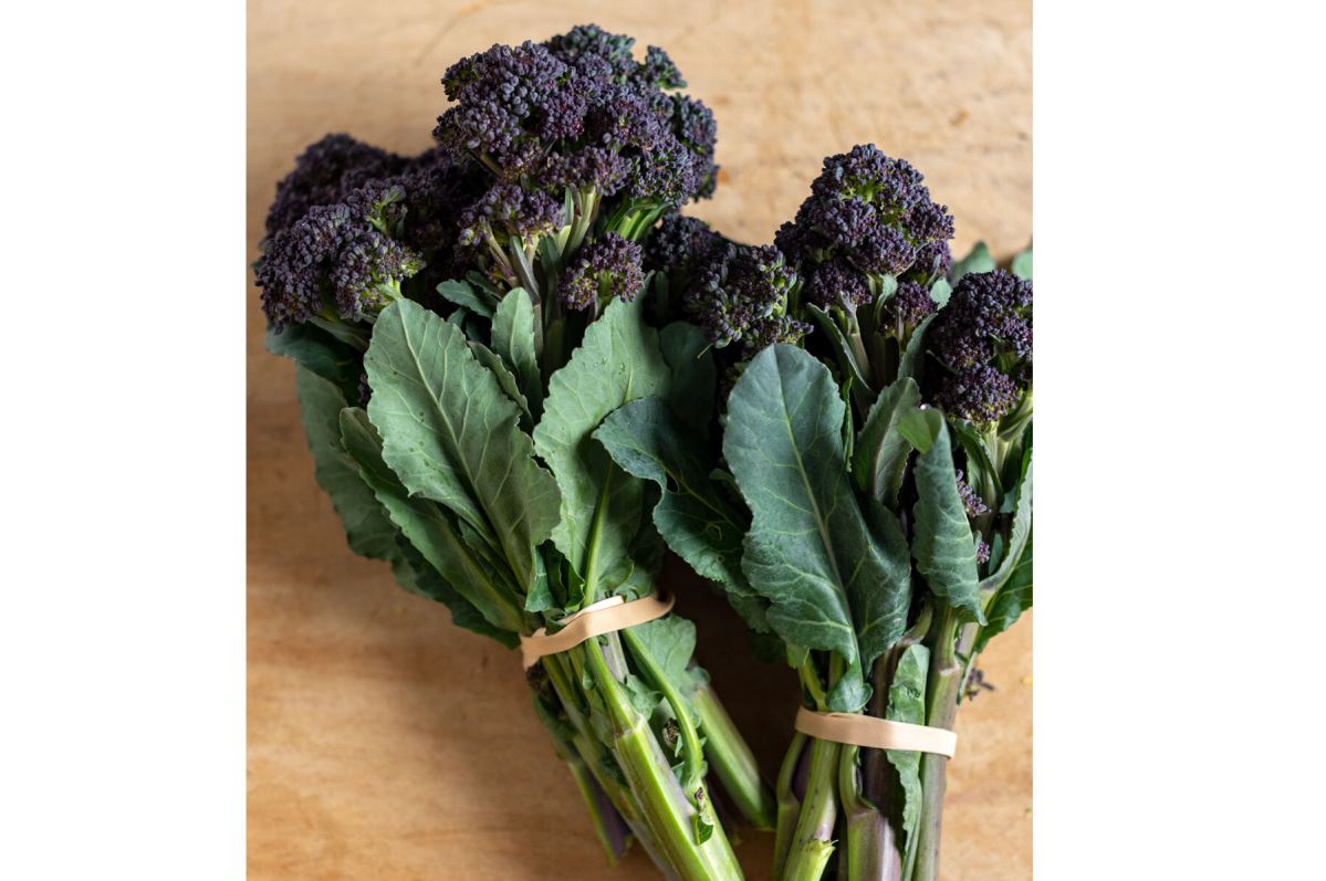 Burgundy – Purple Sprouting Broccoli Seeds